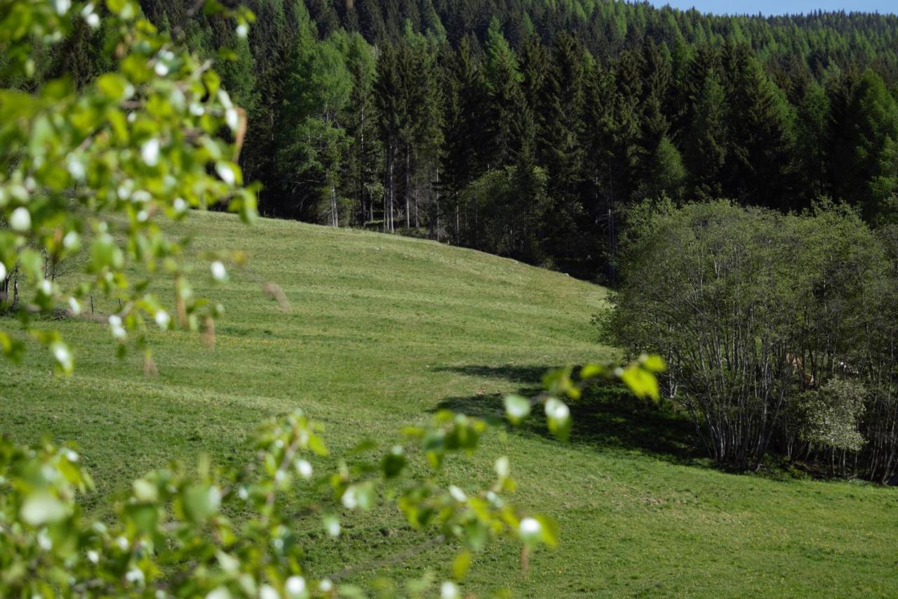 Landhaus Holzer Занкт-Марґаретен-ім-Лунґау Екстер'єр фото
